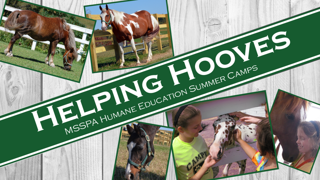 Helping-Hooves-Facebook-Event-Banner - MSSPA