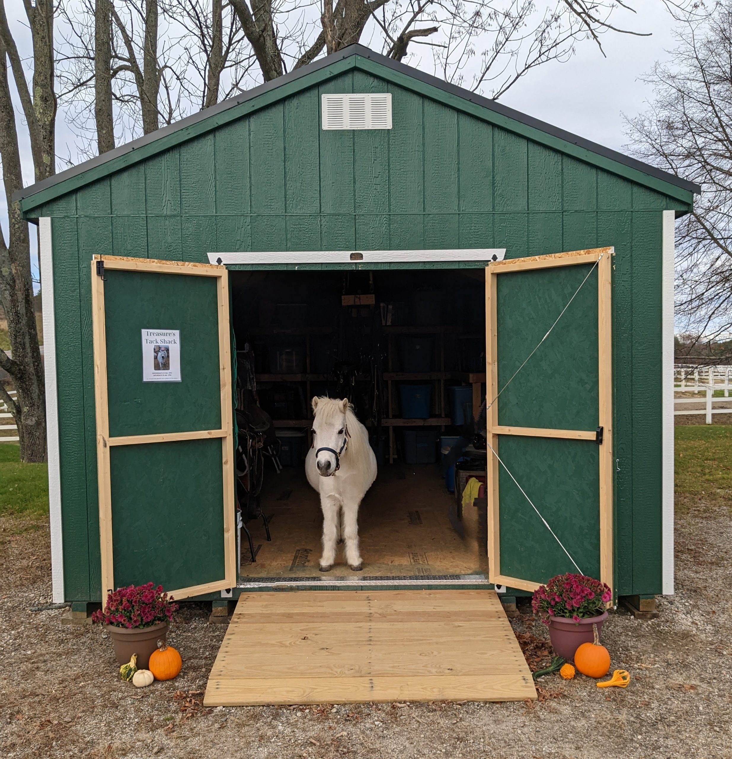 Treasure’s Tack Shack • MSSPA